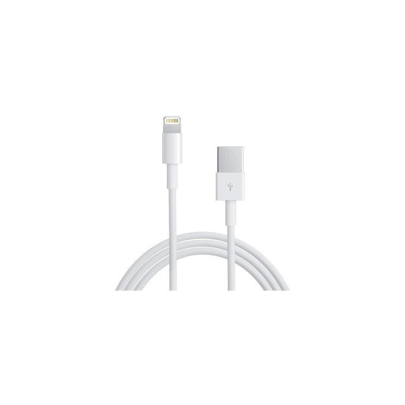Cable USB Lightning + Chargeur Secteur Blanc pour Apple iPhone 6 / 6S - Cable  Chargeur Port USB